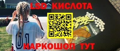 стаф Краснодар