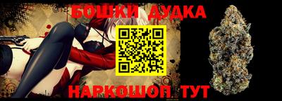 стаф Краснодар