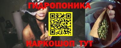 твердый Краснознаменск