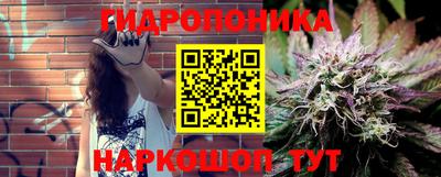 твердый Краснознаменск