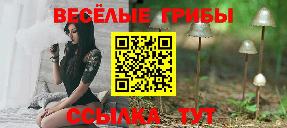 Галлюциногенные грибы мухоморы  Псилоцибиновые грибы прущие грибы  Камень-на-Оби  Вход с VPN 